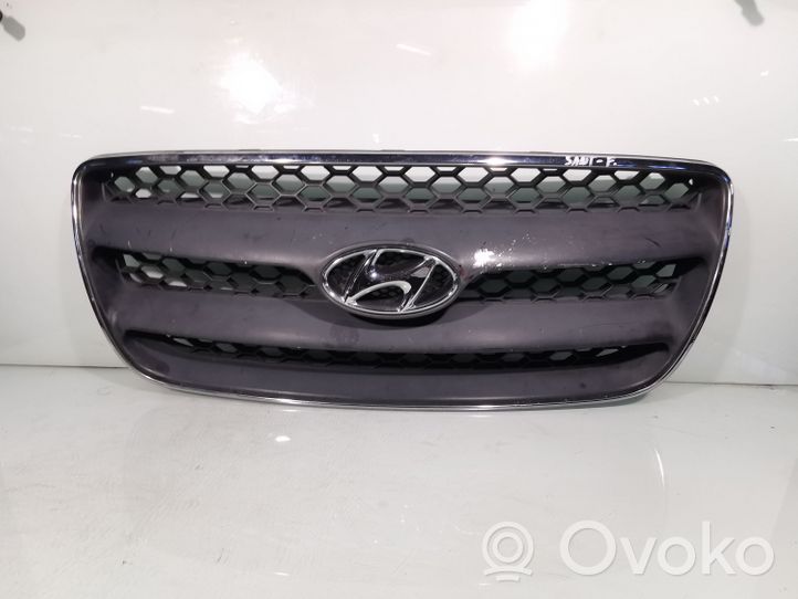 Hyundai Santa Fe Front grill 