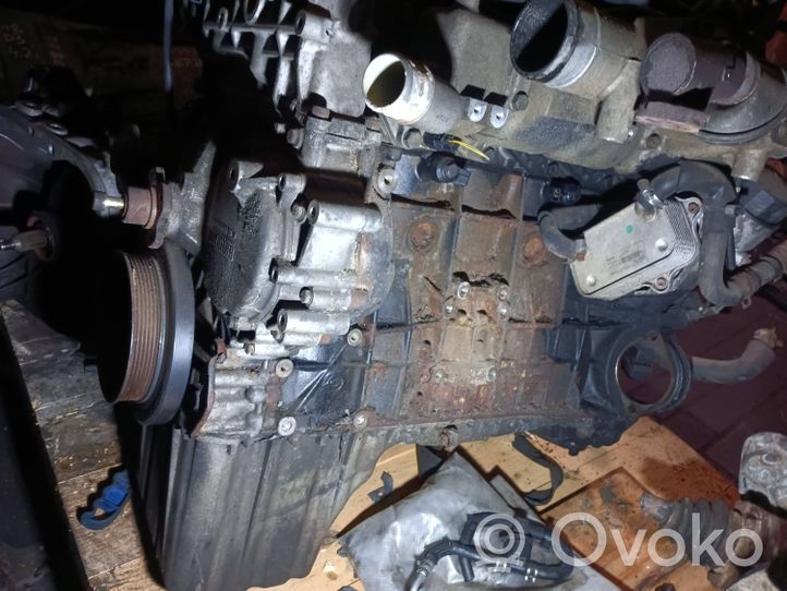 SsangYong Rexton Moteur A6652050205