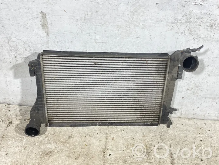 Skoda Octavia Mk2 (1Z) Radiatore intercooler 1k0145803j