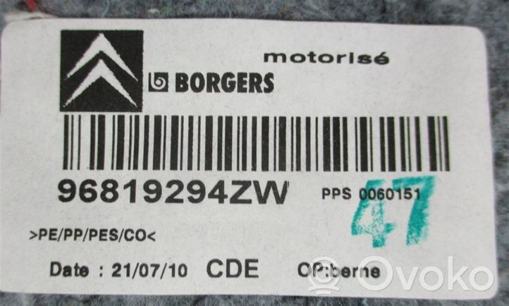 Citroen C5 Augšējā dekoratīvā apdare (pie loga) 96819294ZW