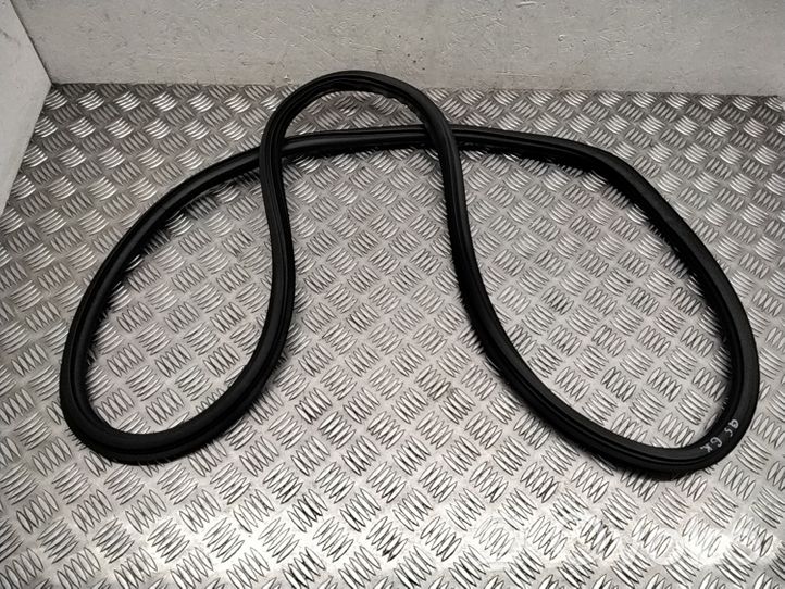 Audi Q5 SQ5 Rear door rubber seal (on body) 