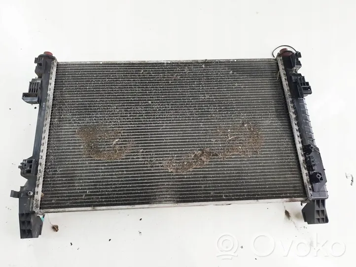 Mercedes-Benz A W169 Radiateur de refroidissement a1695003004