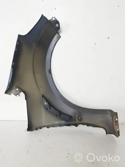 Ford S-MAX Fender 