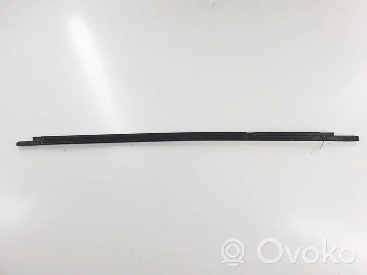 Ford Grand C-MAX Front door glass trim molding 