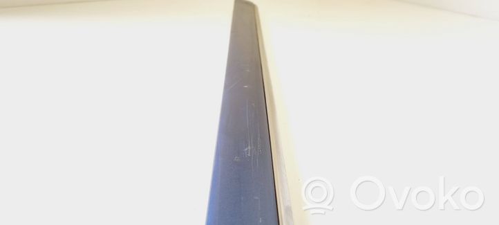 Mercedes-Benz C W202 Front door trim (molding) 2026003062