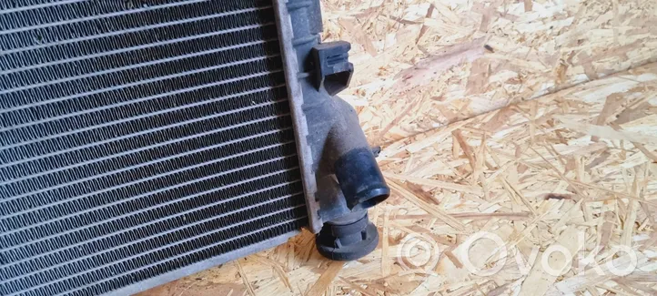 Ford Transit -  Tourneo Connect Dzesēšanas šķidruma radiators 2T148005FA
