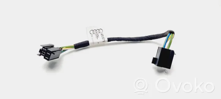 Audi A6 S6 C6 4F Aizmugurējo durvju vadu instalācija 4F0971687