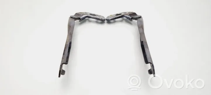 Audi A6 S6 C6 4F Engine bonnet/hood hinges 