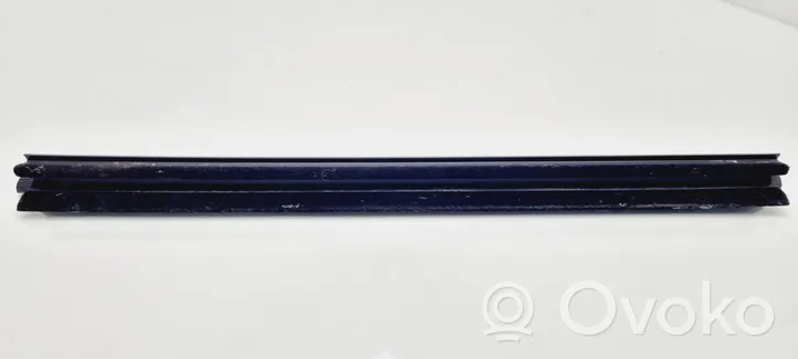 Dodge RAM Rear door glass trim molding 