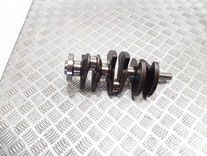 Volkswagen Polo V 6R Crankshaft TL020