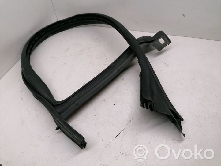 Volkswagen PASSAT CC Guarnizione in gomma finestrino/vetro portiera anteriore 3C8854544