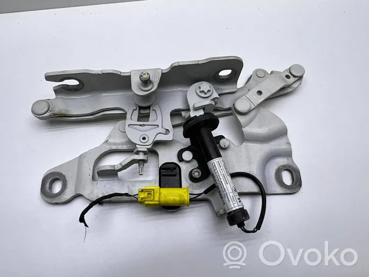 BMW 6 F12 F13 Cerniere del vano motore/cofano 7249888