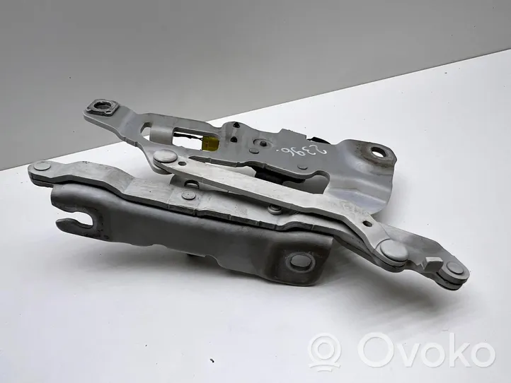 BMW 6 F12 F13 Cerniere del vano motore/cofano 7249888