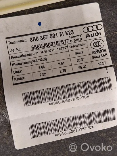 Audi Q5 SQ5 Потолок 8R0971100A