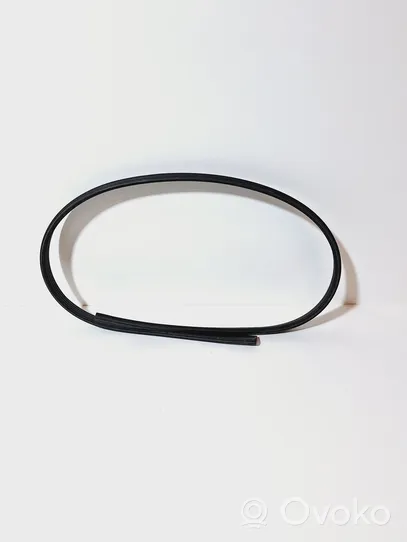 Audi S5 Front door rubber seal 8T0854543E