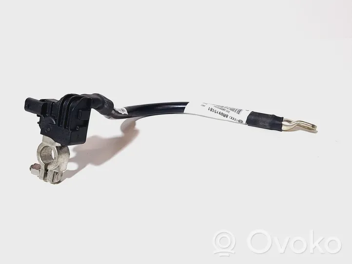 Audi Q5 SQ5 Минусовый провод (аккумулятора) 8R0915181