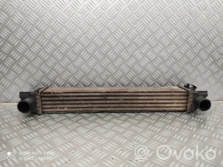 Fiat Fiorino Radiatore intercooler 