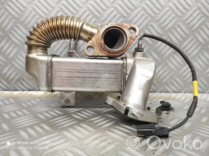 Opel Vivaro EGR valve cooler 
