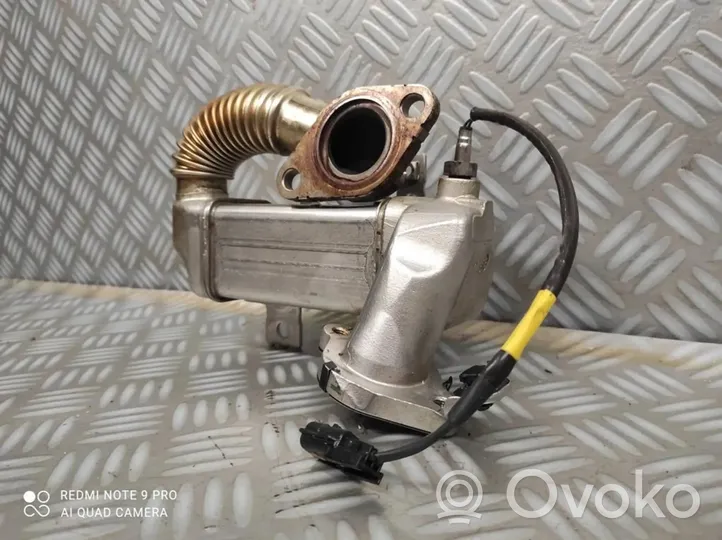 Opel Vivaro EGR valve cooler 