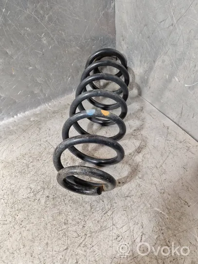 Volkswagen Golf VI Rear coil spring 