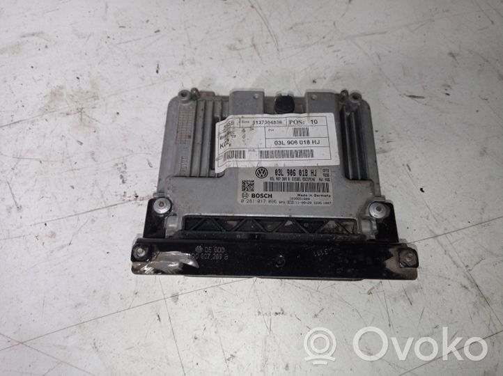 Volkswagen Sharan Unité de commande, module ECU de moteur 03L906018HJ