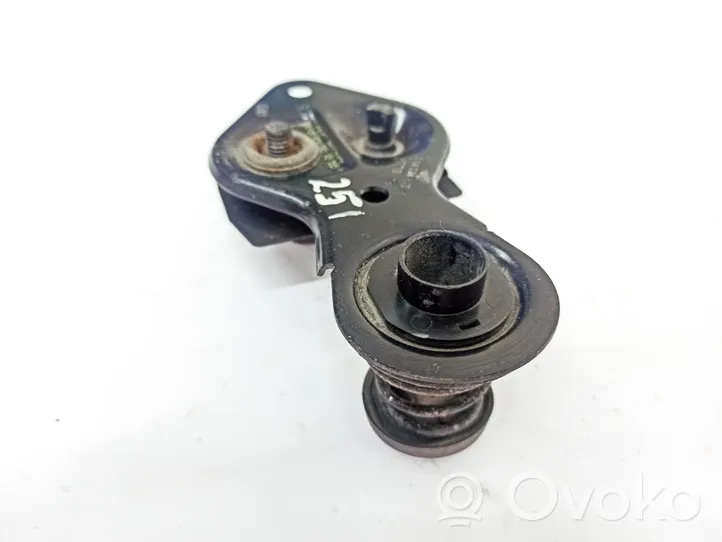 Mercedes-Benz R W251 Anello/gancio chiusura/serratura del vano motore/cofano A2038800460