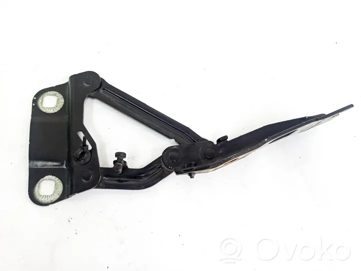 Mercedes-Benz R W251 Cerniere del vano motore/cofano A2518800228