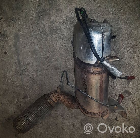 Volkswagen PASSAT B7 Filtre à particules catalyseur FAP / DPF 3C0131765H