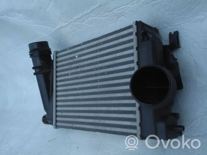 Nissan Qashqai Optional radiator 