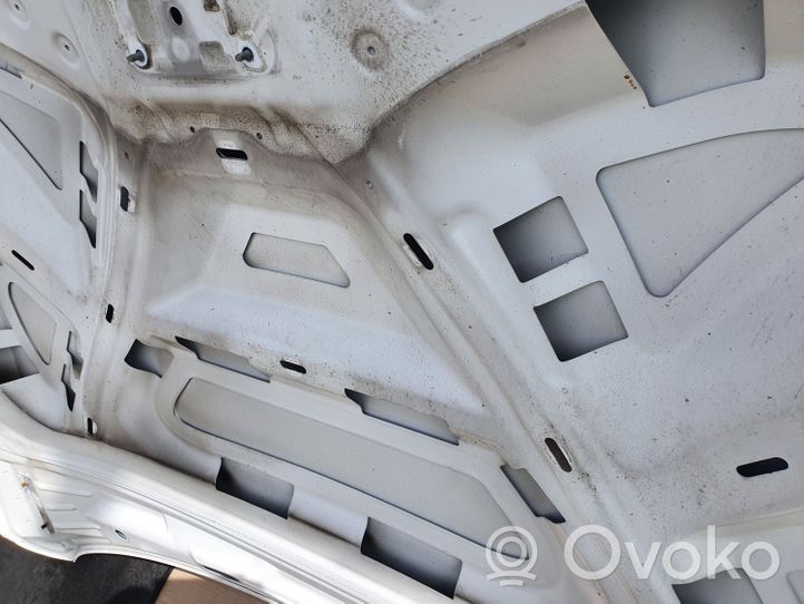 Audi Q5 SQ5 Pokrywa przednia / Maska silnika 8R0000000