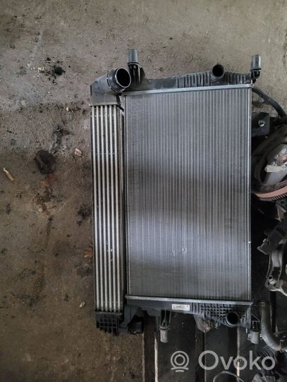 Renault Megane III Kit Radiateur 