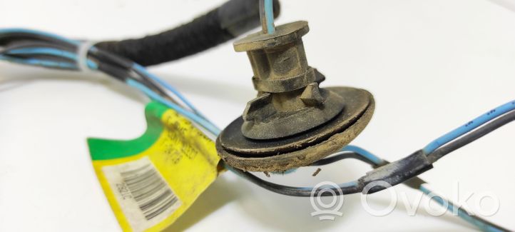 Renault Megane I Lampa oświetlenia tylnej tablicy rejestracyjnej 7700282921