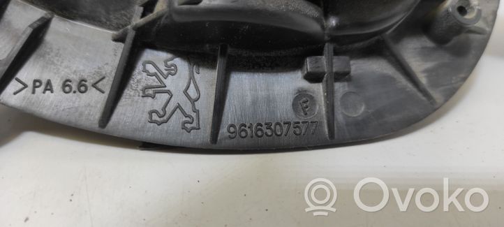 Peugeot 406 Galinė atidarymo rankenėlė (vidinė) 9616307577