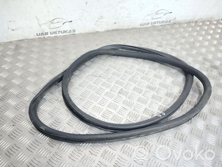 Volkswagen PASSAT B7 Guarnizione in gomma portiera anteriore 3C4867911