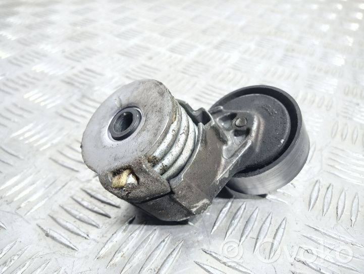 Nissan Qashqai Alternator belt tensioner 117501083R