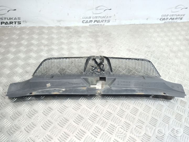 Peugeot 406 Grille calandre supérieure de pare-chocs avant 9631250277