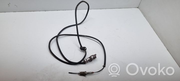 Peugeot 307 CC Abgastemperatursensor 9640491580