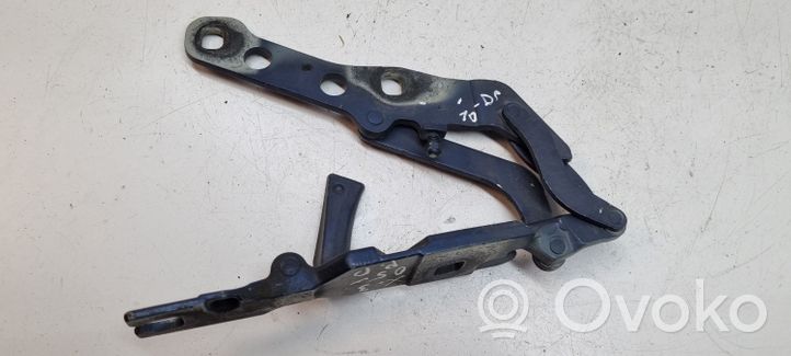 BMW X3 E83 Cerniere del vano motore/cofano 8411448