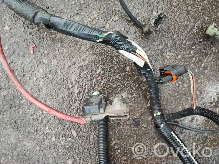 Renault Scenic I Other wiring loom 