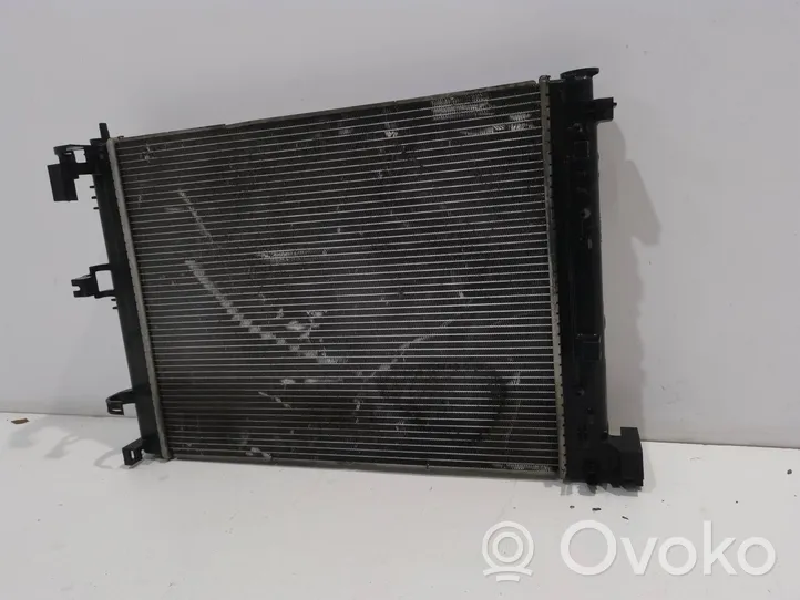 Renault Clio V Radiateur de refroidissement 214105EA0R