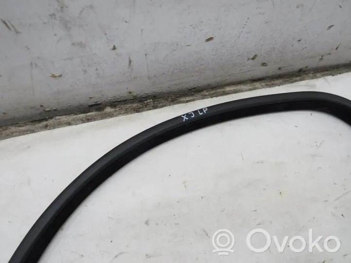 Jaguar XJ X351 Front door rubber seal 