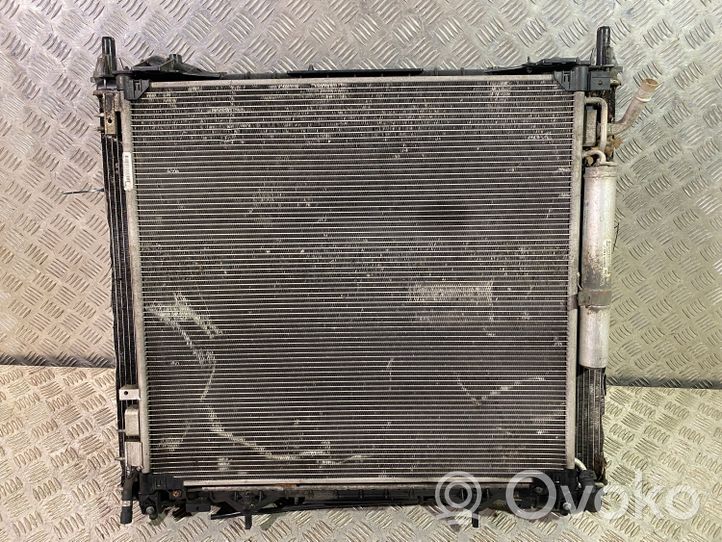 Land Rover Discovery 5 Kit Radiateur 