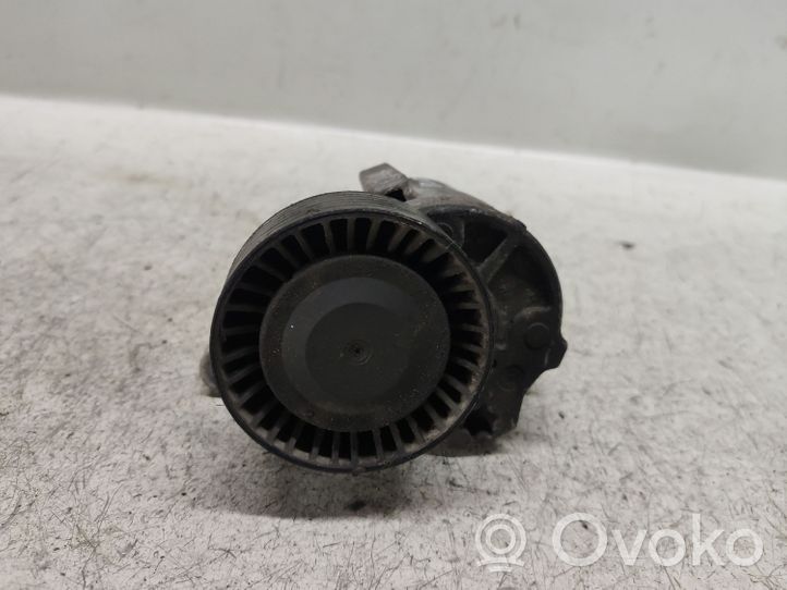 Volvo S60 Tendicinghia generatore/alternatore 