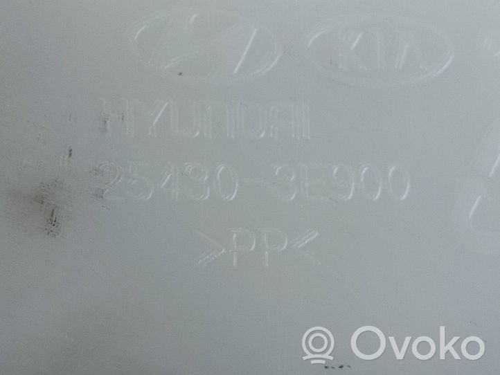 KIA Sorento Serbatoio di compensazione del liquido refrigerante/vaschetta 254303E900