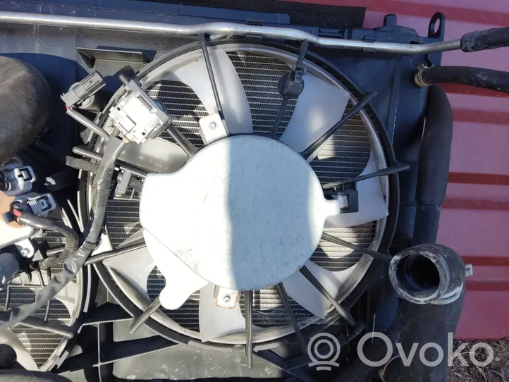 Lexus NX Set del radiatore 4221353980