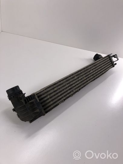 Renault Scenic III -  Grand scenic III Radiatore intercooler M135347