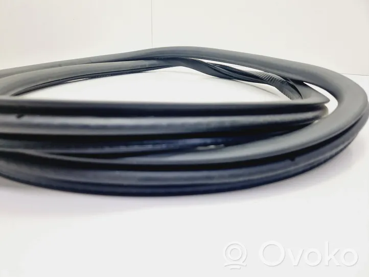 Peugeot 2008 II Front door rubber seal 