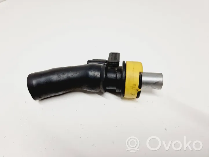 Citroen C4 II Įsiurbiamo oro temperatūros daviklis 9673593680