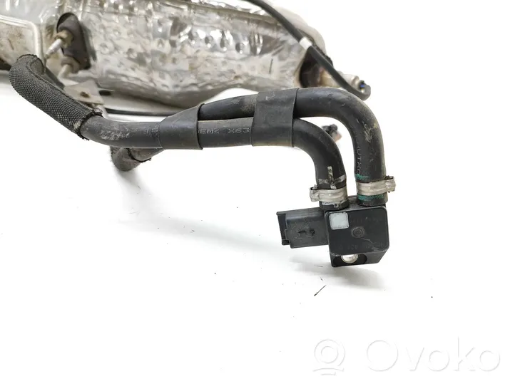 Citroen C4 II Filtr cząstek stałych Katalizator / FAP / DPF 3141061700