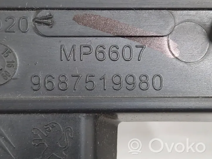 Citroen C4 II Muu sisätilojen osa 9687519980